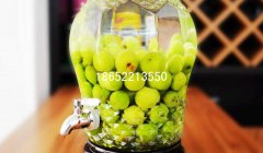 玻璃酵素瓶制作方法是什么？酵素的好處是什么？